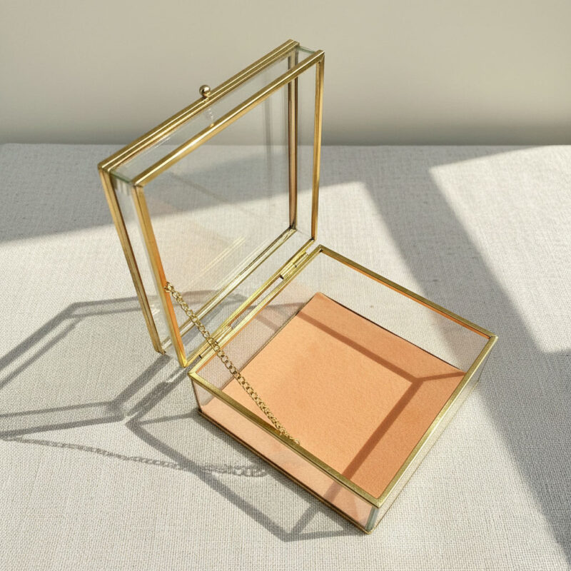 The Chameleon" Glass Display Box